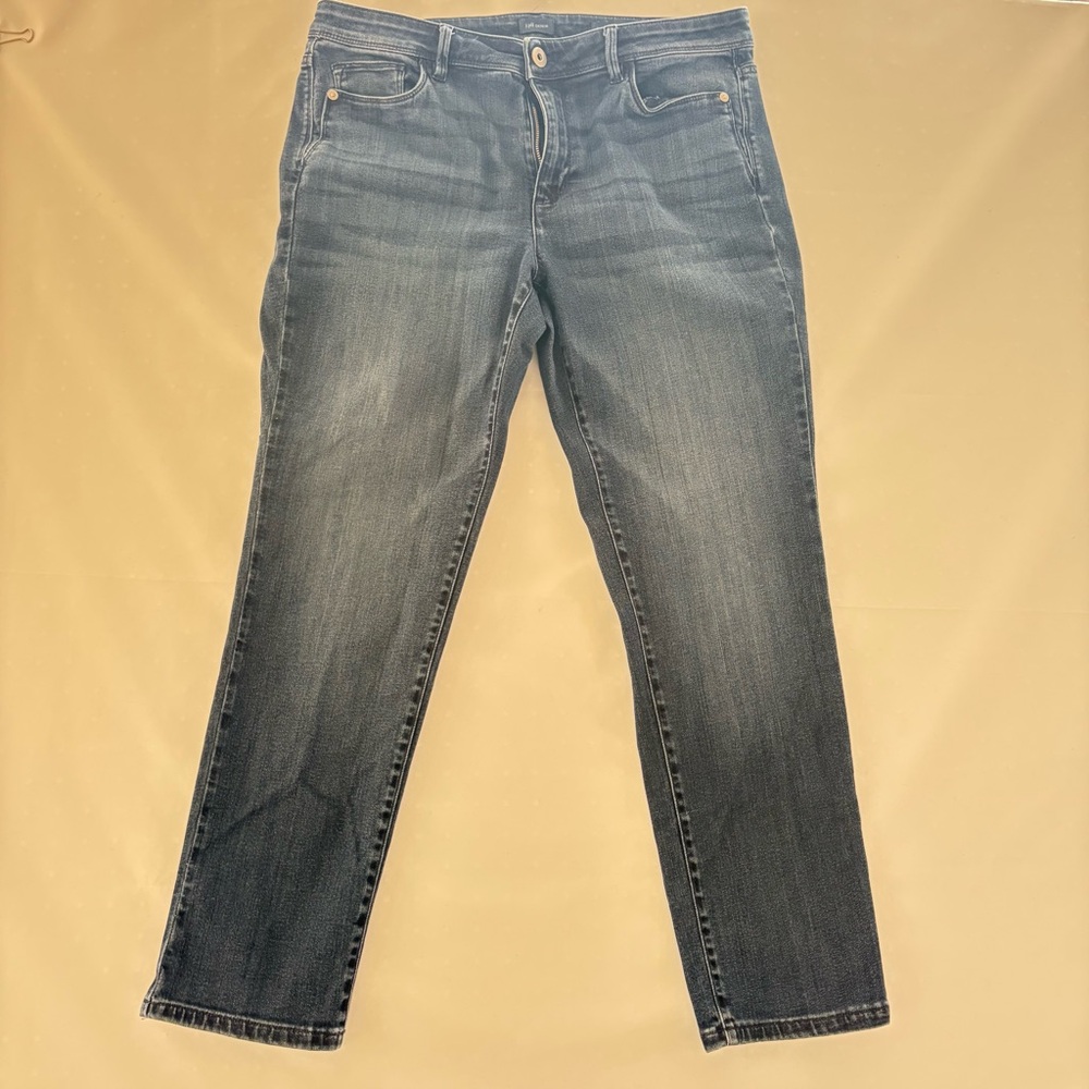 J. Jill Classic Blue Skinny Ankle Jeans. 
Size 12. INV25/230